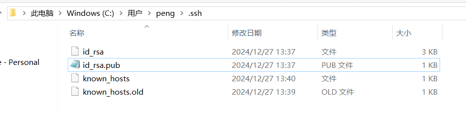 image-20241229212127747